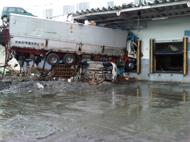 ※IMG00080-20110331-1426.JPG
