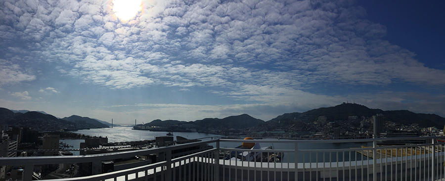 IMG_0294（切り抜き／補色）.jpg